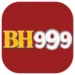 Bh999.com