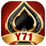 Y71 Game