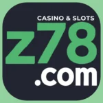 Z78 Game