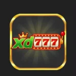 XD777 Game download guide and key features